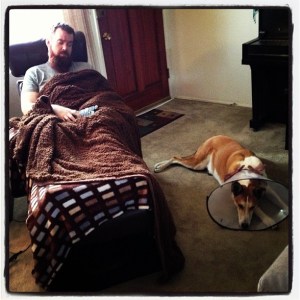 6fb0e556941211e2ba2422000a1f9376_7